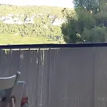 דירה Au Calme, 200m Du Centre T2 Avec Balcon Et Parking *